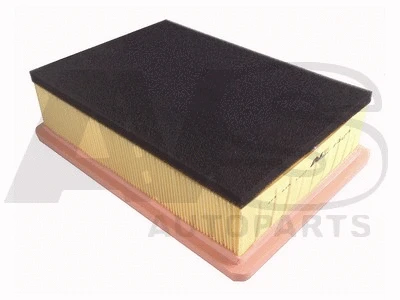 Air Filter (P060A)
