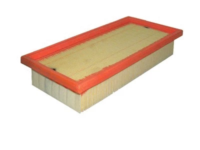 Air Filter (P115)