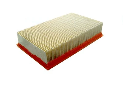 Air Filter (P091)