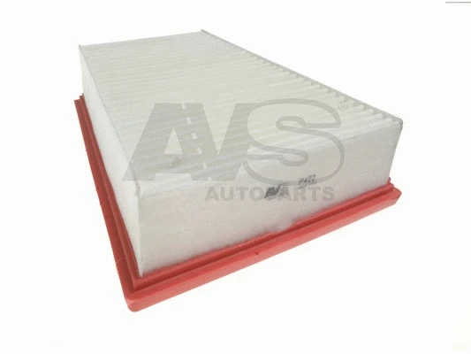 Air Filter (P422)