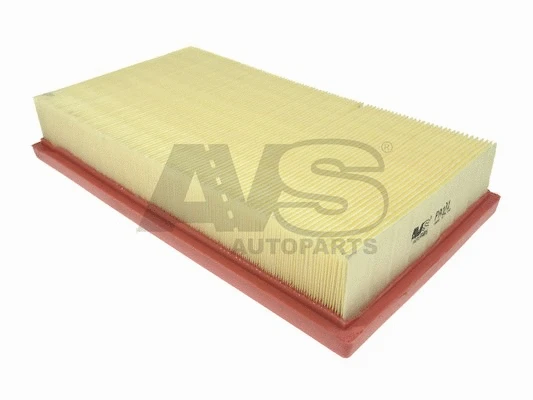 Air Filter (PA101)