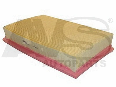 Air Filter (P900)