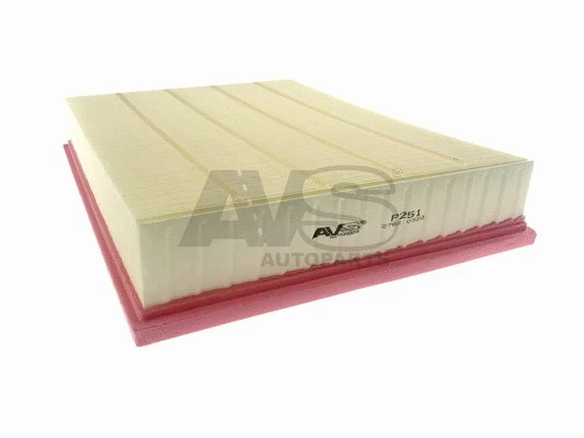 Air Filter (P251)