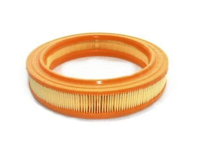 Air Filter (R719)