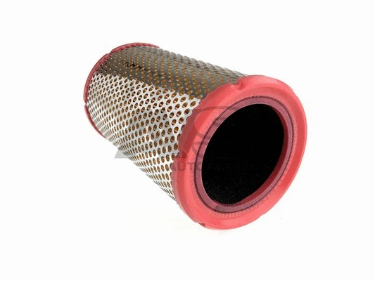 Air Filter (RA273)