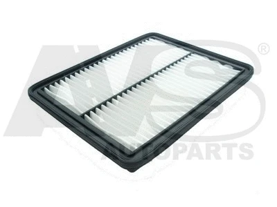 Air Filter (P312)