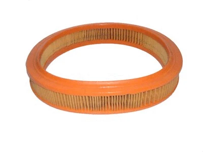 Air Filter (R176)