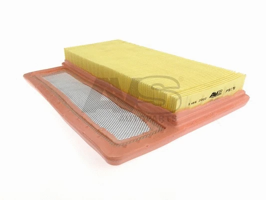 Air Filter (P919)