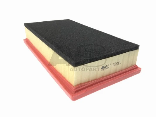 Air Filter (P128)