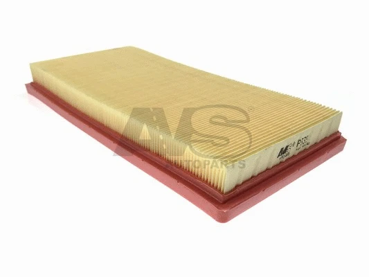 Air Filter (P339)