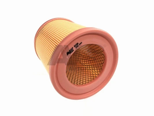 Air Filter (R194)