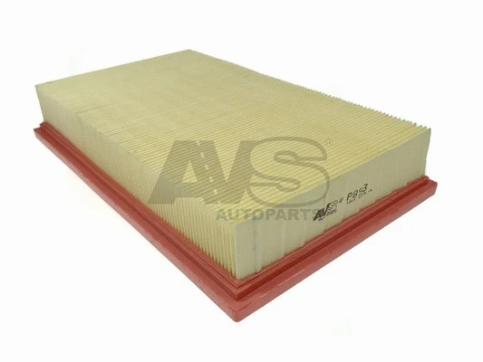 Air Filter (P893)