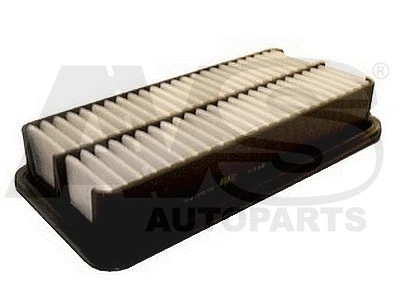 Air Filter (P348)