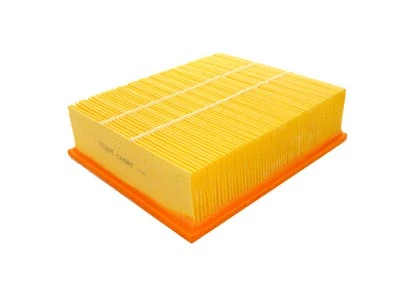 Air Filter (P160)