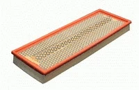 Air Filter (P929)