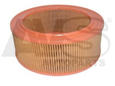 Air Filter (R701)