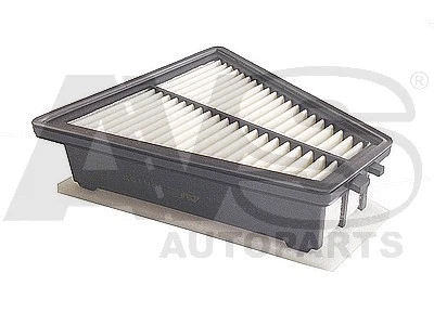 Air Filter (PA155)