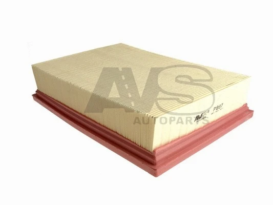 Air Filter (P887)