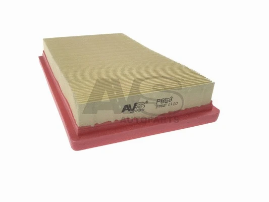 Air Filter (P858)