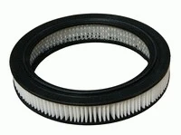 Air Filter (RA251)