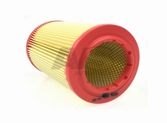 Air Filter (RA258)
