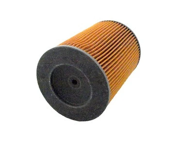 Air Filter (R235)