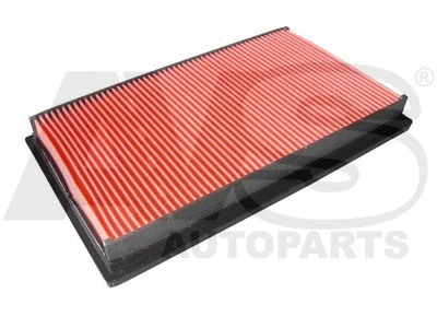 Air Filter (P973)