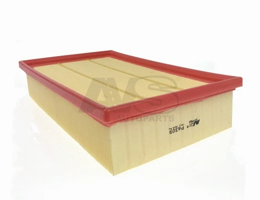 Air Filter (PA309)