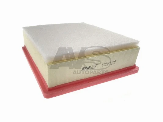 Air Filter (PA217A)