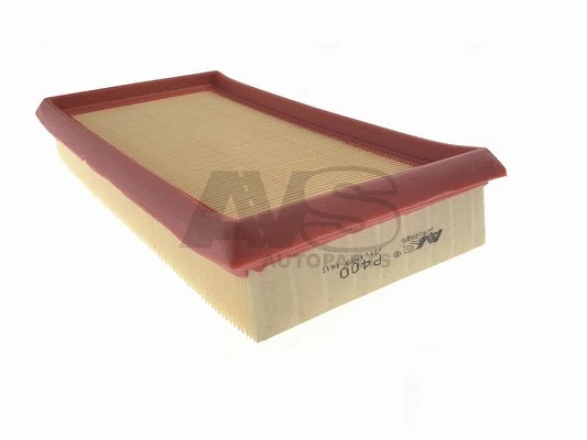 Air Filter (P400)