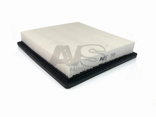 Air Filter (P226)