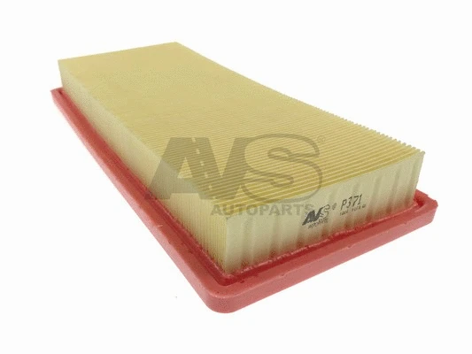 Air Filter (P371)