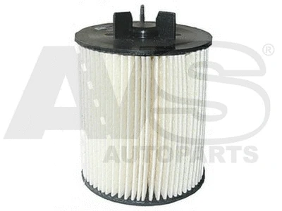 Fuel Filter (F010)