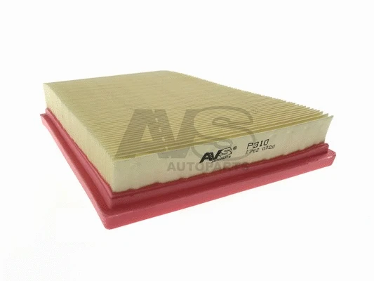 Air Filter (P310)