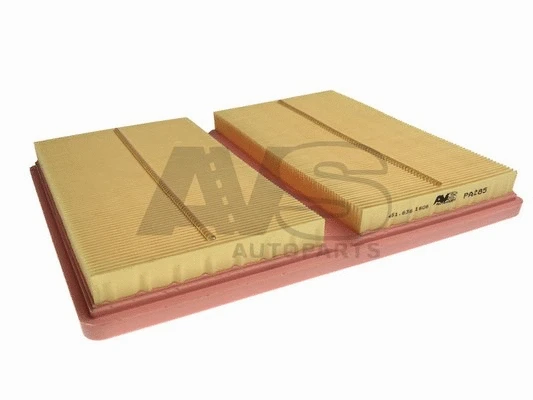Air Filter (PA285)