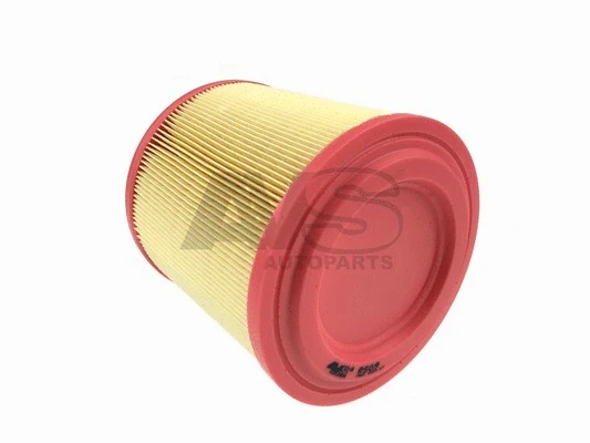 Air Filter (R509)
