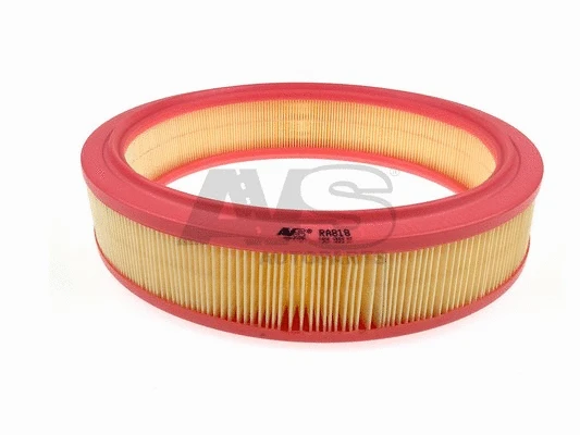 Air Filter (RA818)