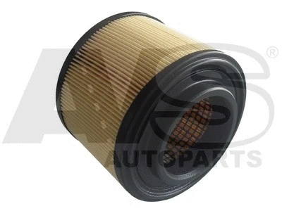 Air Filter (RA017)
