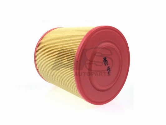 Air Filter (R441)