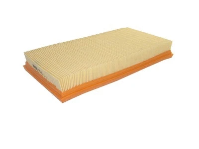 Air Filter (P199)