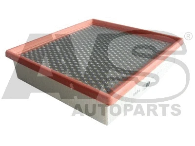 Air Filter (P866)