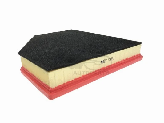 Air Filter (P367)