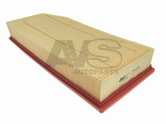 Air Filter (P405)