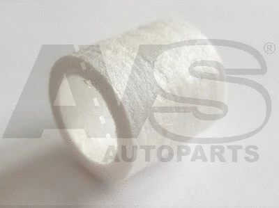 Fuel Filter (G901)