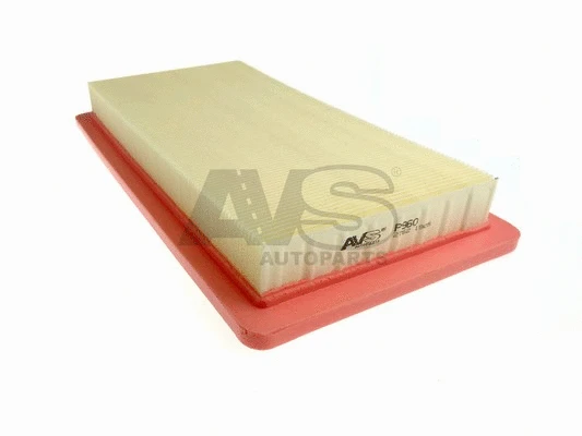 Air Filter (P960)