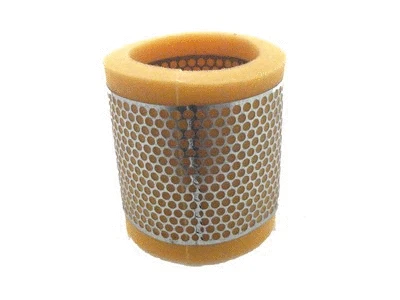 Air Filter (R843)