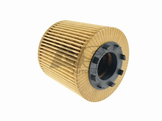 Oil Filter (L109)