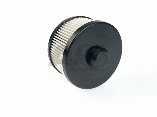 Fuel Filter (F013)