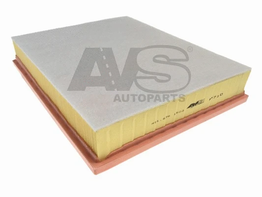 Air Filter (P710)