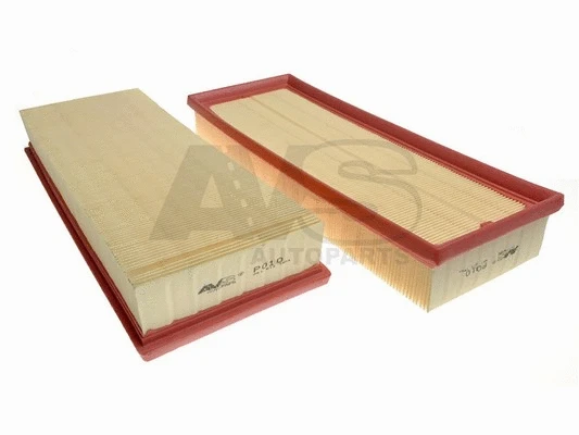 Air Filter (P010)